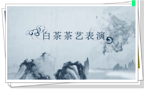 茶文化培训篇之白茶茶艺表演