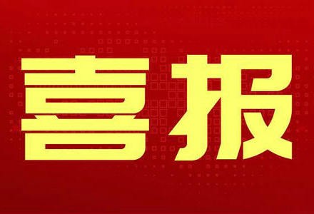 【喜报】沙河市校外学员在河北省青少年科技创新大赛中摘二金二银四铜！